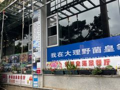 -野菌皇海景野生菌火锅(滨海大道店)