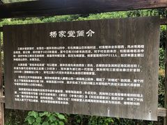 -杨家堂村