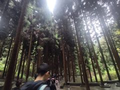 -娄山关景区