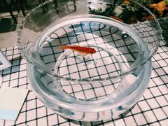 -小豆海棠(人民南路店)