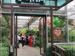 -南宫五洲植物乐园