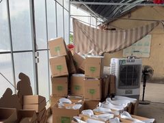 -马陆小张葡萄园农家乐