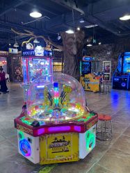 点击看大图 -卡通尼·Safari非洲探索乐园·生日会(金桥国际商业广场店)