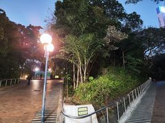 -九龙公园