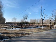 -东郊湿地公园