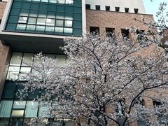 -浙江大学(玉泉校区)