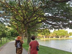 -东海岸人工湖美食村