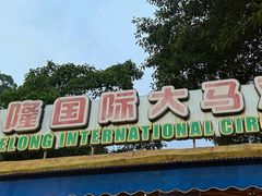 -广州长隆国际大马戏