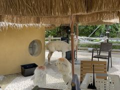 -珠海海泉湾神秘岛亲子乐园