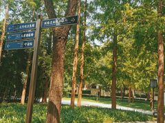 -唐城墙遗址公园