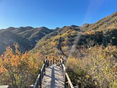 -大岭沟猕猴桃谷风景区