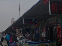-何庄子阿米玛玛农产品批发市场