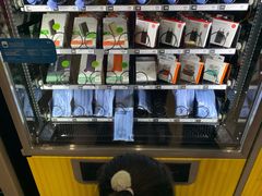 -谢列梅捷沃国际机场