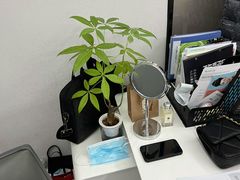 -牙博士口腔品牌连锁(杨浦店)