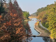 -广州市帽峰山景区