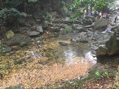 -鼎湖山风景区