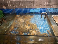 -小时候焗海鲜(鄞州万达店)