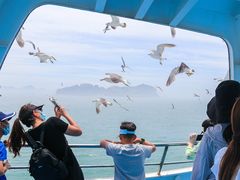 -海驴岛(荣成市)
