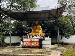 -上海佘山国家森林公园天马山园