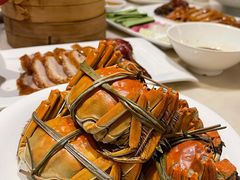 -新梅华餐厅(星悦汇店)