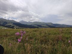 -新疆那拉提国家旅游度假区