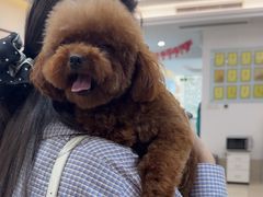 -北京观赏动物医院·24小时大型综合·猫专科·异宠专科