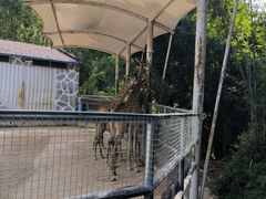 -泉州海丝野生动物世界