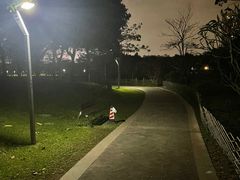 -福田红树林生态公园