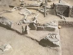 -洛阳周王城天子驾六博物馆