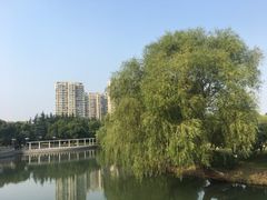 -中央公园(苏州工业园区)