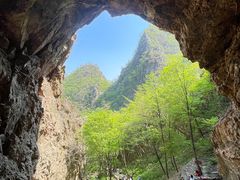 -大连天门山国家森林公园