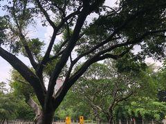 -晓港公园