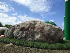 -上海都市菜园