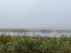 -室韦口岸