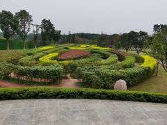 -铁山坪森林公园