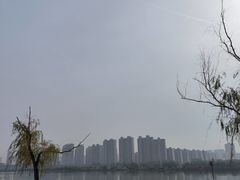 -渭滨公园