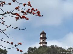 -东莞植物园