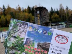 -汤旺河林海奇石景区