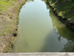 -合肥滨湖国家森林公园