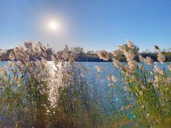 -大兴滨河森林公园