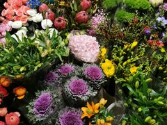 -双季花艺园艺市场(浦东店)