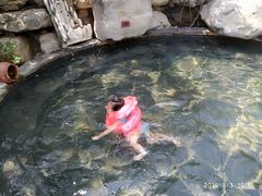 -仁爱团泊湖温泉中心
