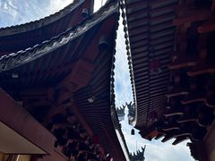 -上海东林寺(金山区)