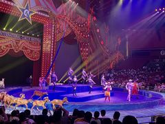 -珠海横琴长隆《卡卡虎奇遇记》