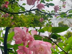 -杭州黄龙洞