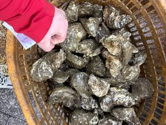 -濠轩阁特色生蚝火锅总店