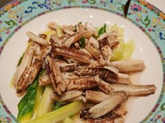 -新光酒家·河豚·海鲜·蟹料理(浦东店)