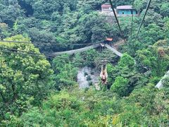 -南丹山森林王国