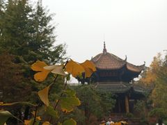 -青羊宫