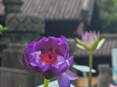 -钱王祠